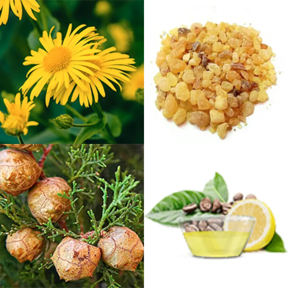 Arthrovia recensioni — ingredienti naturali della crema per articolazioni